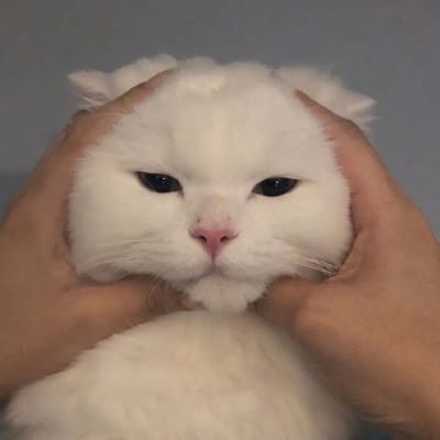 Tony Tan Caktiong avatar